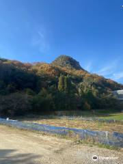 新高山城跡