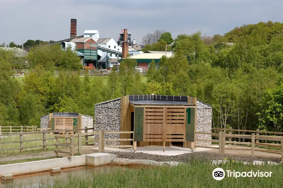 National Coal Mining Museum for England