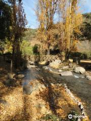 Santuario de La Naturaleza El Arrayán