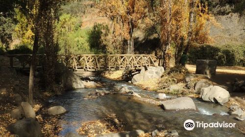 Santuario de La Naturaleza El Arrayán