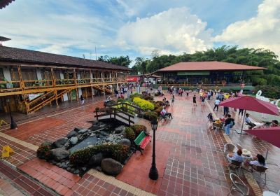 Parque Nacional del Cafe