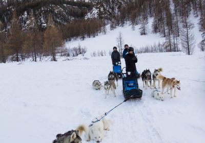 Azak Mushing