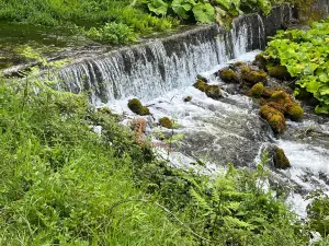 Sorgente del fiume Mercure