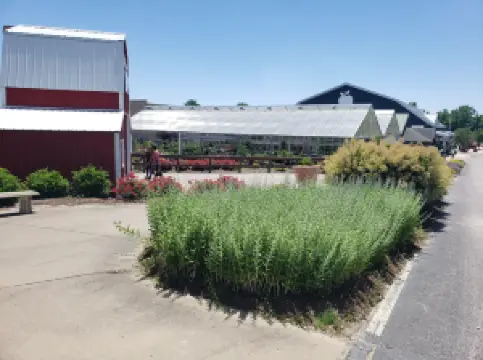 Eckert's Pick Your Own Belleville Farm