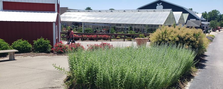Eckert's Belleville Farm