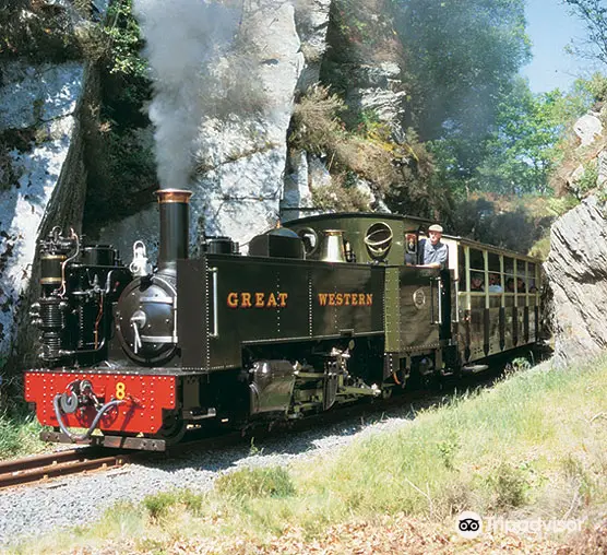 Vale of Rheidol Railway