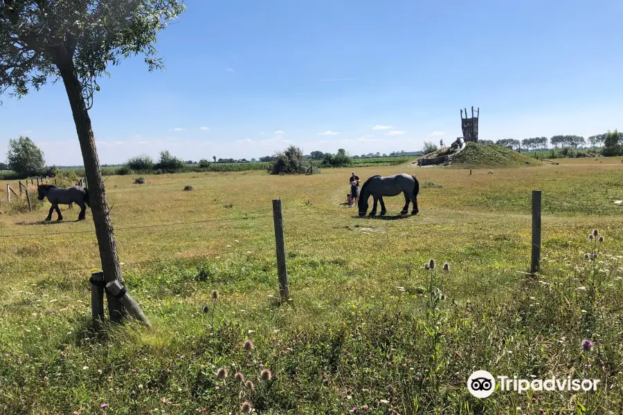 Groese duinen en polders