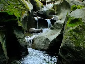 Parc d'environnement naturel de Sutton