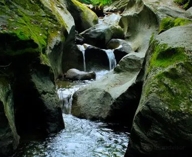 Parc d'environnement naturel de Sutton