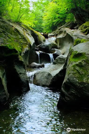 Parc d'environnement naturel de Sutton