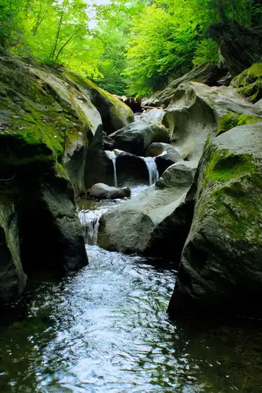 Hotels near Parc d'environnement naturel de Sutton