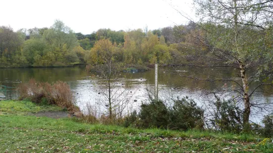 Sheepwash Nature Reserve