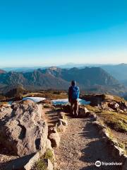 Camp Muir Trail