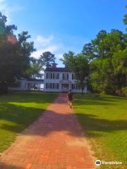 Torreya State Park