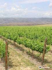 Clearwater Canyon Cellars