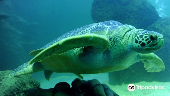 SEA LIFE Timmendorfer beach