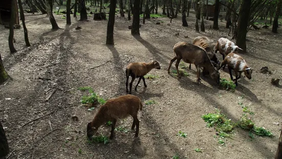 Nyírjesi Botanical Garden and Wildlife Park