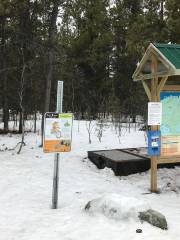 Chadburn Lake Recreation Area