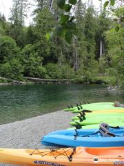 WestCoast WILD Zipline