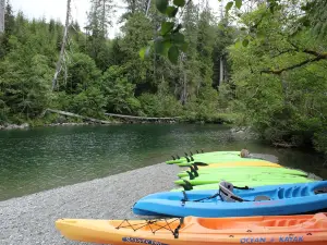 WestCoast WILD Zipline