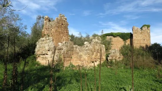 Necropoli Rupestri di San Giovenale e Terrone