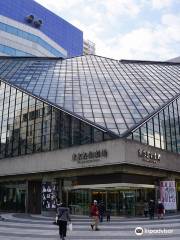 Токийский столичный центр искусств