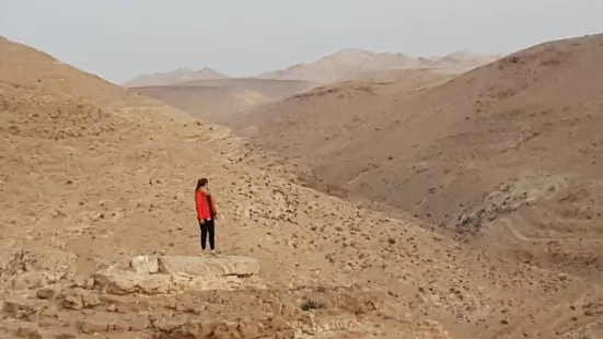 Wild - Trails Israel