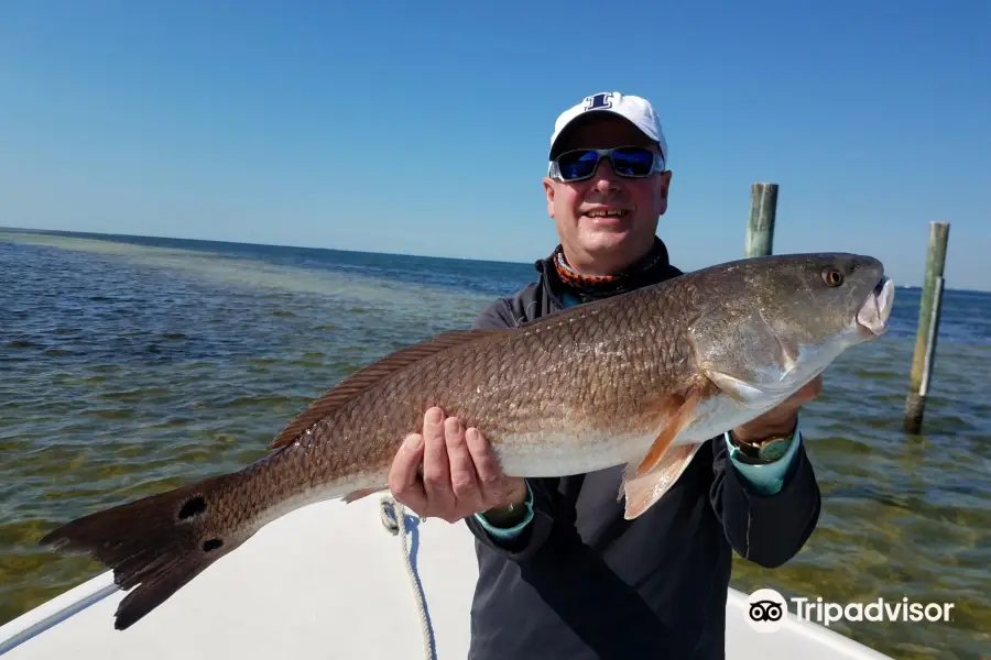 Awestruck Fishing Charters-Anna Maria Island Fishing Charter