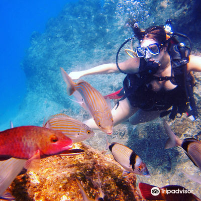 Kemer Octopus Diving Center
