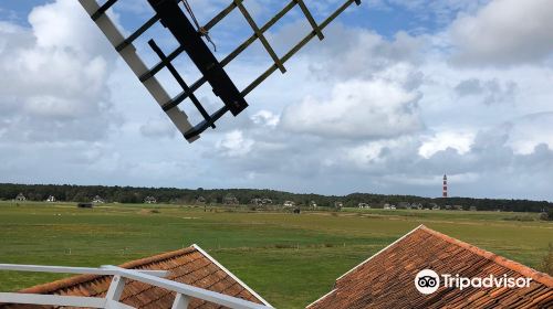 Koren- En Mosterdmolen de Verwachting