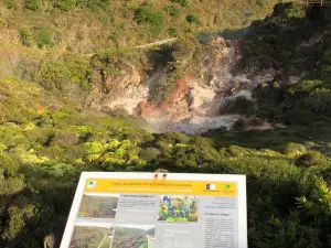 Furnas do Enxofre