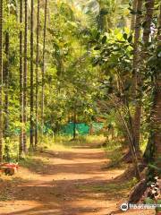 Sahyadri Spice Farm