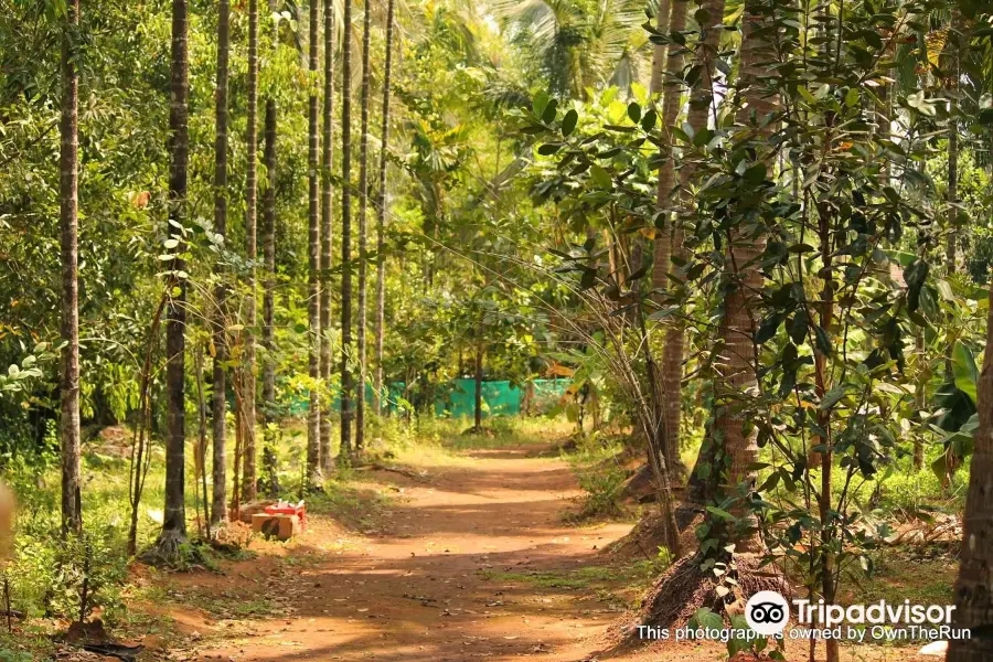 Sahyadri Spice Farm