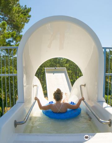 Aquatic landes