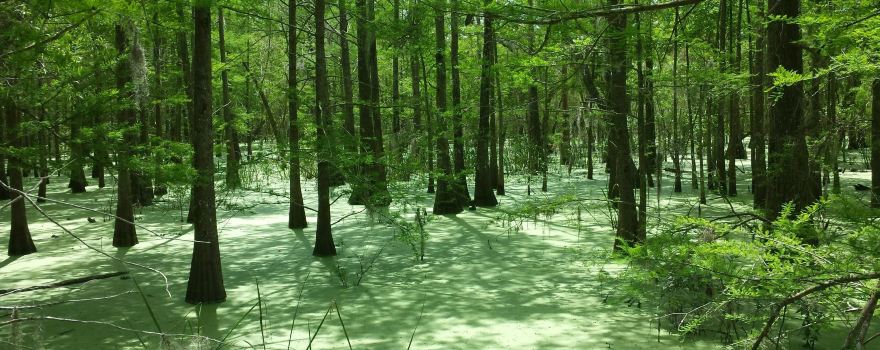 Chambers County