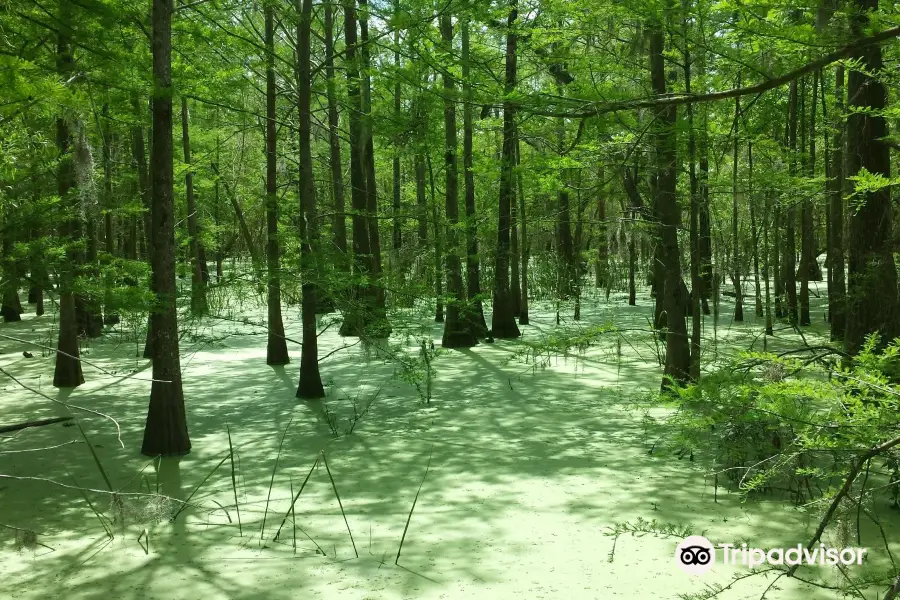 Anahuac National Wildlife Refuge