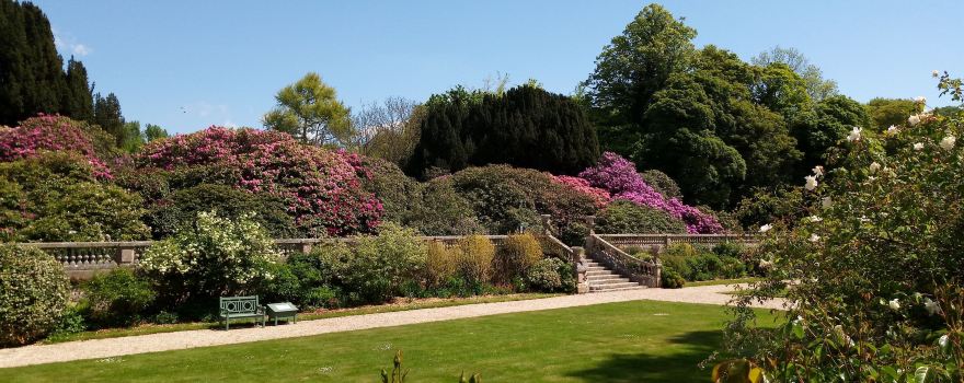 Domaine du Grand Daubeuf