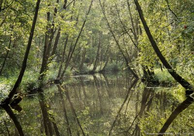 Naardermeer