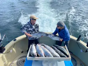 Fish N' Chips Charters