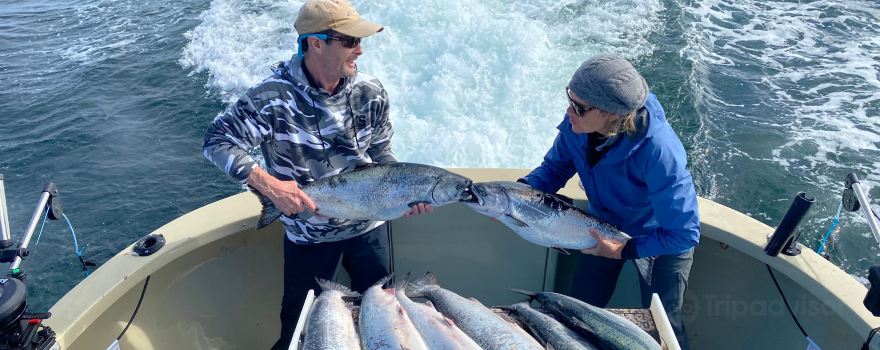 Fish N' Chips Charters