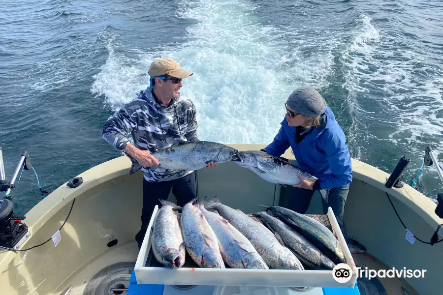 Fish N' Chips Charters