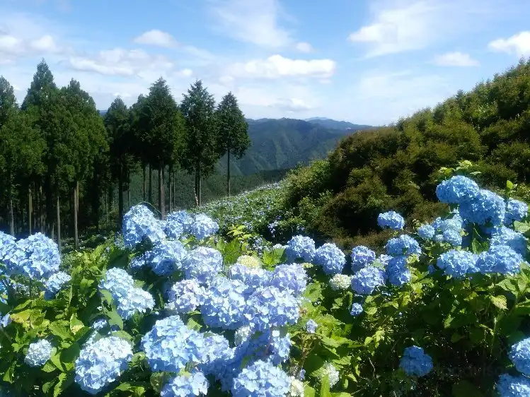 Hotels in Katsuragi
