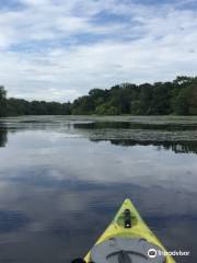 Peconic Paddler, Long Island