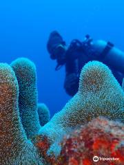 Corn Island Dive Center