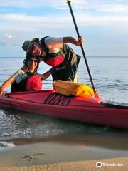H2o Odyssée - Canoë & Kayak Trip - Forêt Noyée & Rivière Bleue - New Caledonia