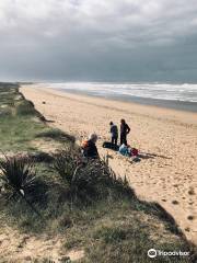 Plage de Vert Bois