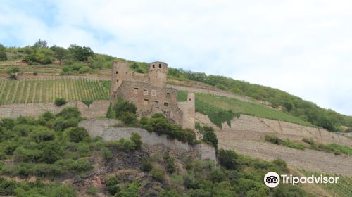 Burg Ehrenfels