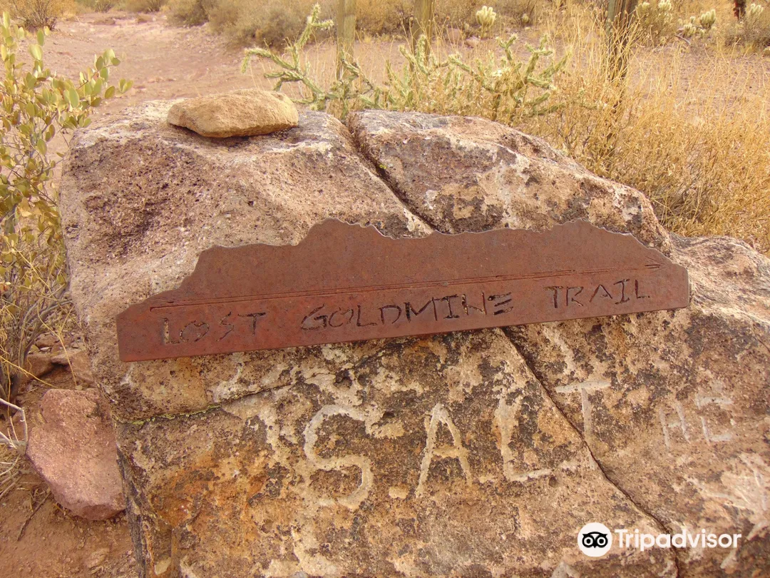 5_Lost Goldmine Trl