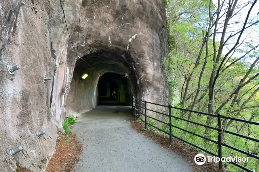 Tateiwa Tunnel