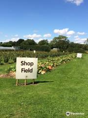 The Balloon Tree Farmshop & Cafe